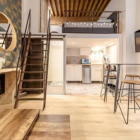 Le Petit Platiere - Renovated - Terreaux