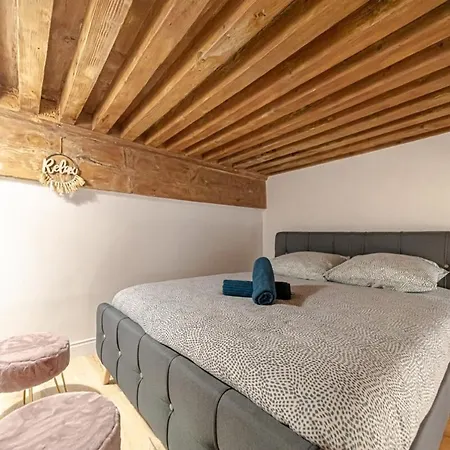 아파트 Le Petit Platiere - Renovated - Terreaux